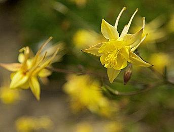 传统roguelike风格新作《盗贼寓言3》上架Steam平台